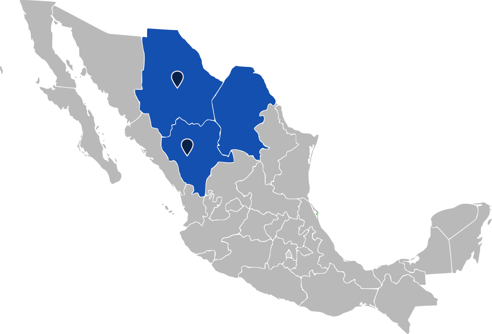 covertura torreon seguridad privada